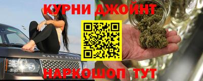 индика Ирбит