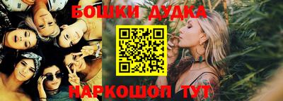 индика Ирбит