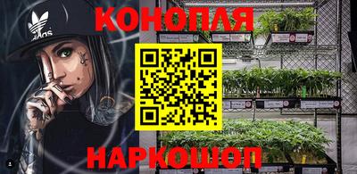 индика Ирбит