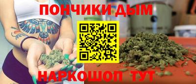 индика Ирбит
