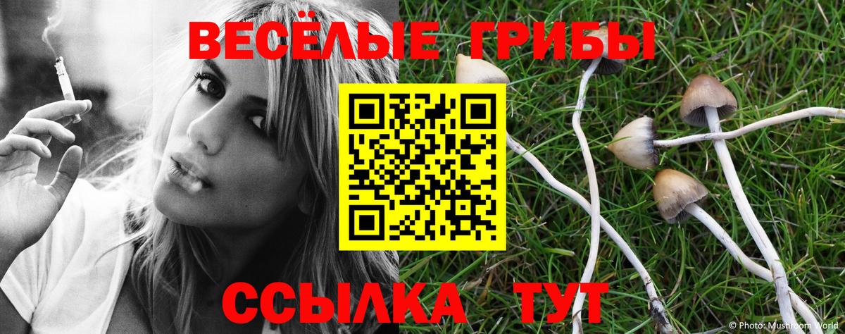 Псилоцибиновые грибы мицелий Глазов