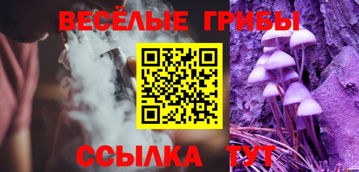 Галлюциногенные грибы MAGIC MUSHROOMS  Вход с VPN  Глазов 