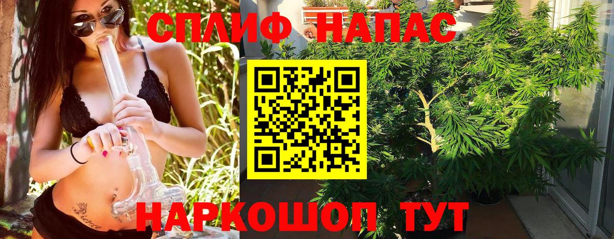 Глазов  Бошки Шишки THC 21%  Вход с VPN  Конопля план 
